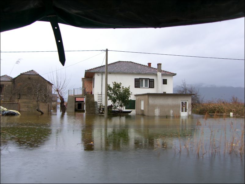 Poplava_u_Vidu_ (28)